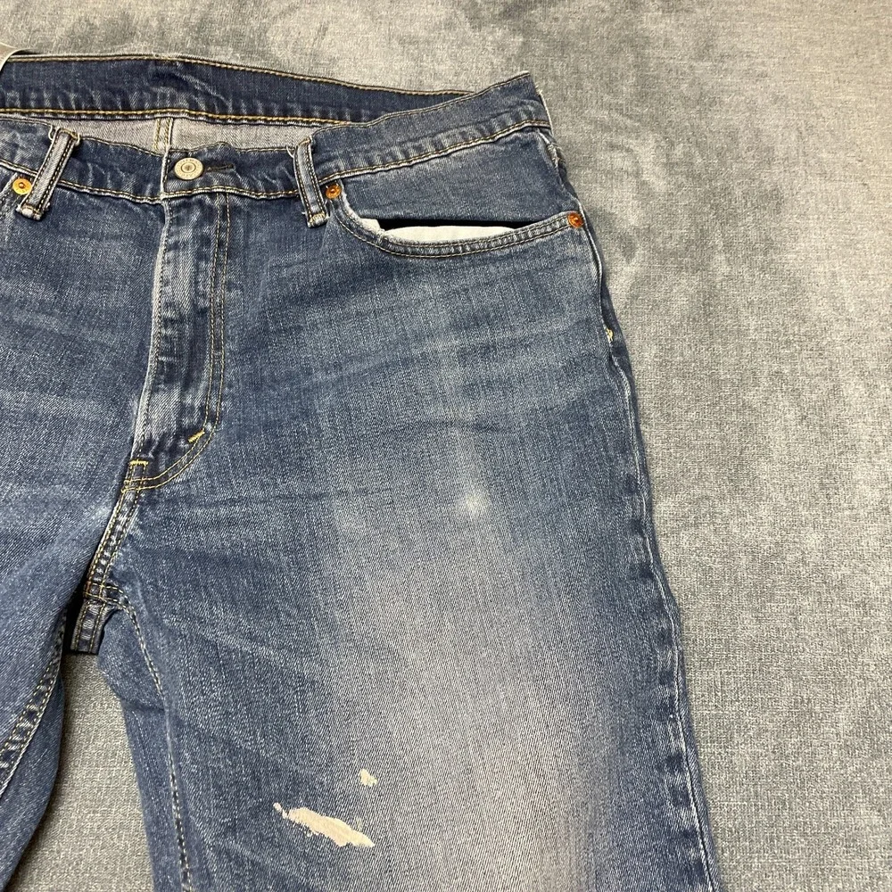 Levis levi 541